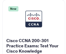 Cisco CCNA 200-301 Practice Exams: Test Your Cisco Knowledge