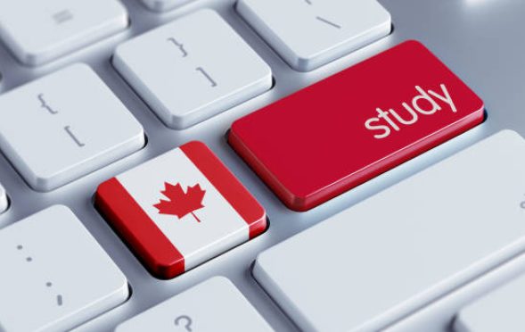 A computer keyboard with mostly white keys, featuring two prominent red keys—one with the Canadian flag and another labeled "study"—symbolizing education or studying in Canada.