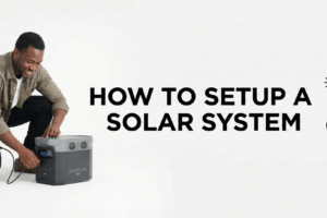 Gemini_Generated_Image_qtlo06qtlo06qtlo